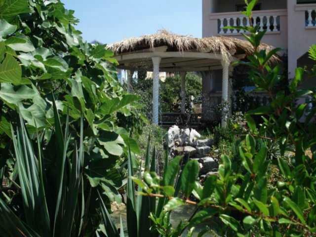 Apartments Mirjana - Stara Novalja Ngoại thất bức ảnh